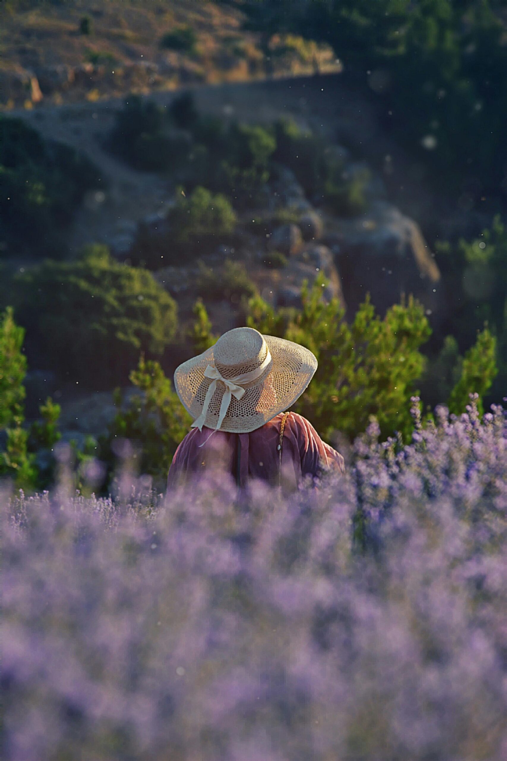 A woman wearing a sunhat wanders through lush lavender fields in Isparta, Turkey during the day.
