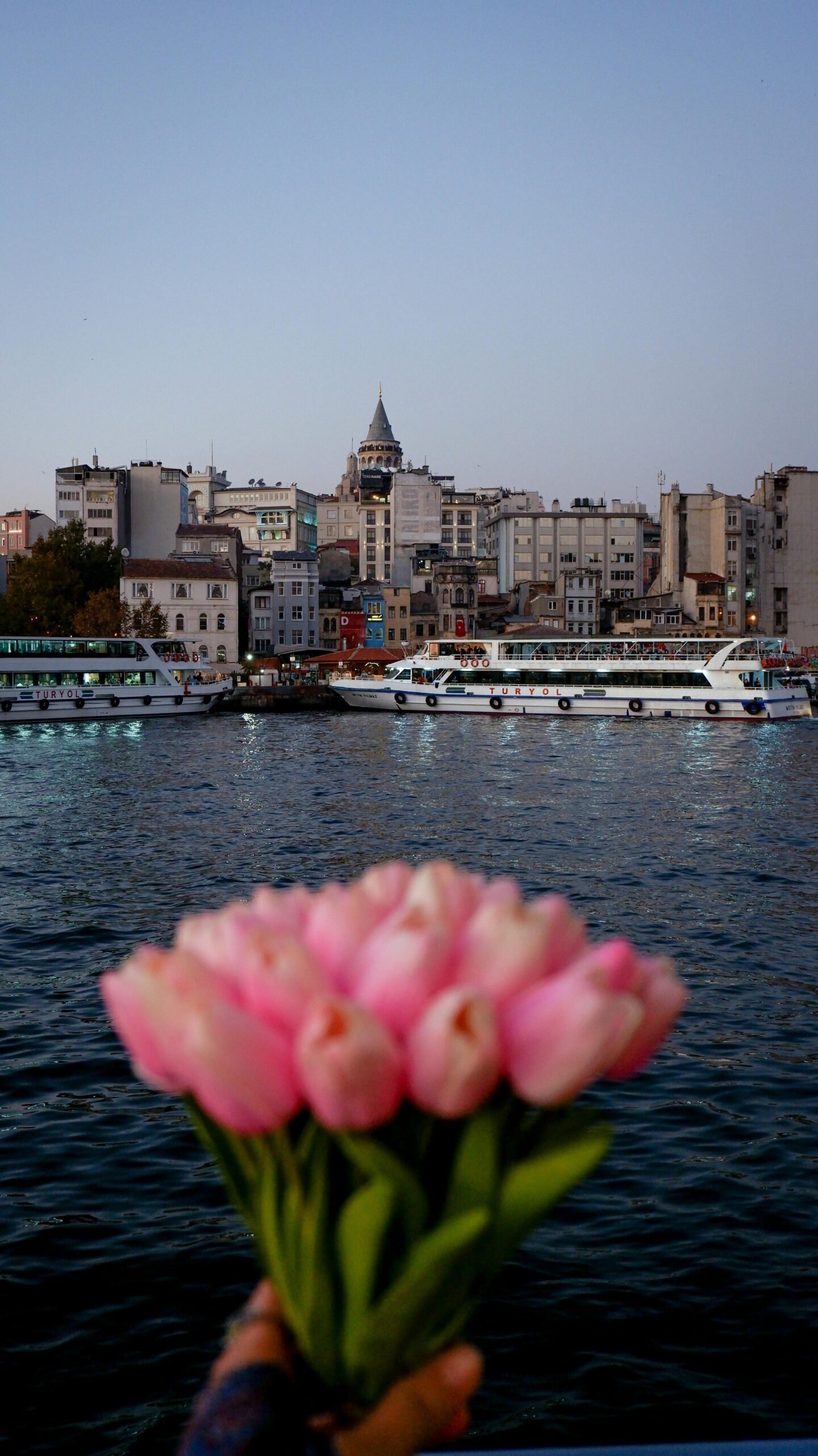 Pink flowers held in front of Istanbul's skyline with the Galata Tower and Bosphorus in view.